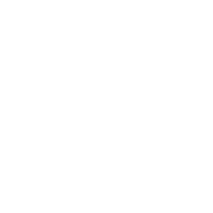 White Whole Life Healing Coach logo featuring a circular interconnected design and text identifying the coaching designation.