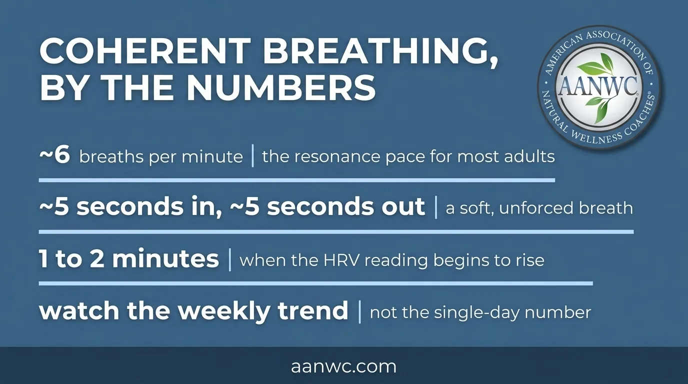 Quick-reference card listing the coherent-breathing pace of about six breaths per minute and when HRV begins to rise.